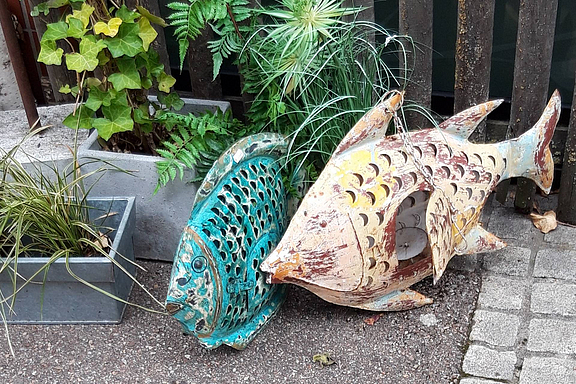 karpfen-fische-skultur_c_SNO.jpg