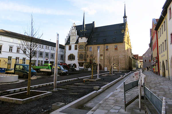 20251127-Pflanzung-Baeume_c_SNO.jpg